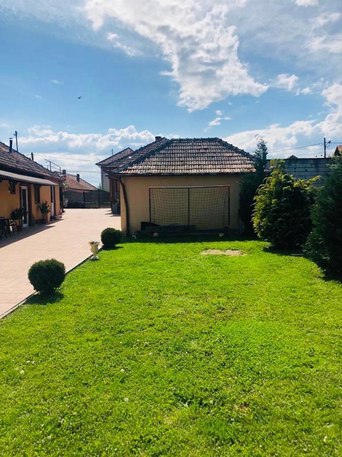 Отель Casa Alexia Хацег Экстерьер фото