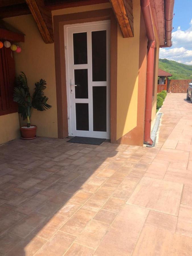 Отель Casa Alexia Хацег Экстерьер фото