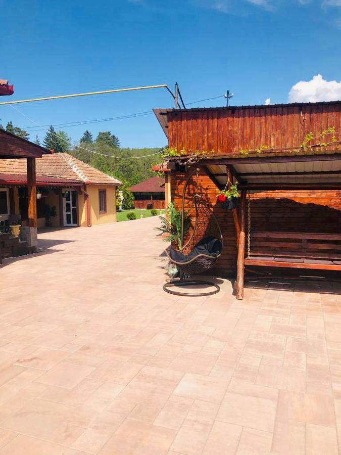 Отель Casa Alexia Хацег Экстерьер фото